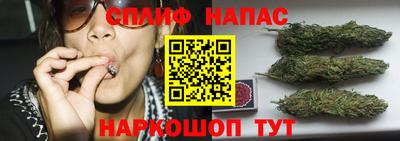 spice Малоярославец