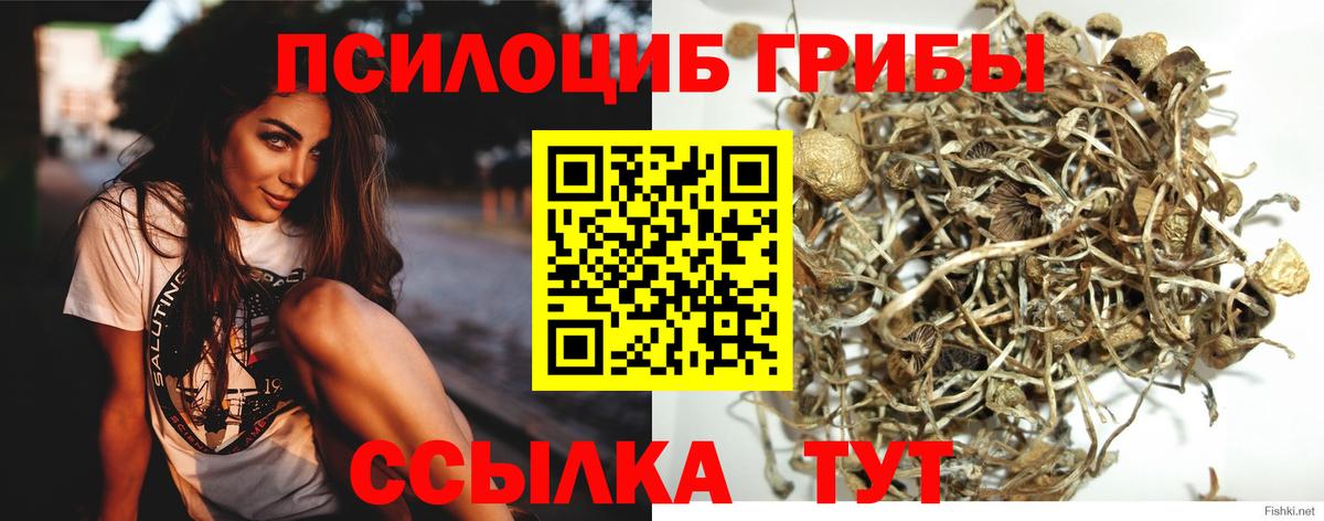 Псилоцибиновые грибы мухоморы Городец