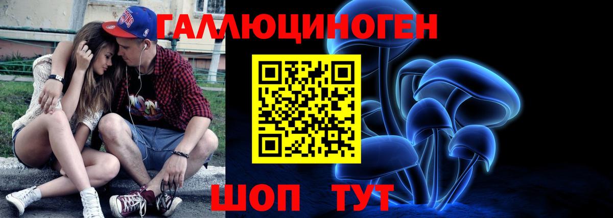 Городец  купить наркотик  Псилоцибиновые грибы Psilocybe  Вход с VPN  Псилоцибиновые грибы Magic Shrooms 
